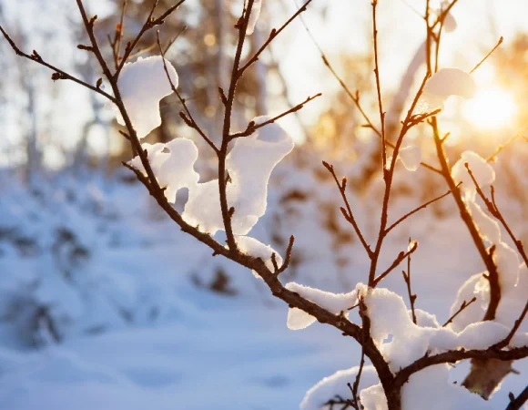 Winter-Kälte-Hörsysteme